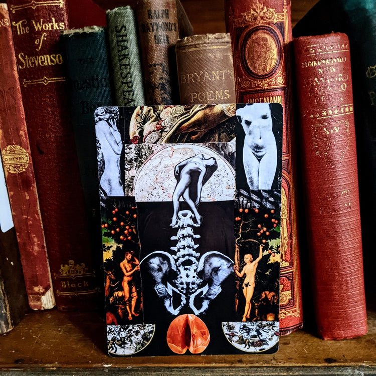 Ritual Tarot Marked Edition
