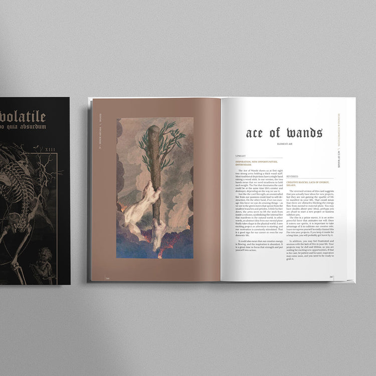 Terra Volatile Book