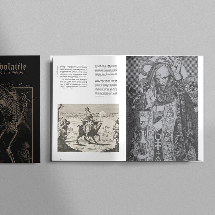 Terra Volatile Book