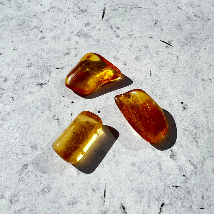 Baltic Amber Tumbled Stones