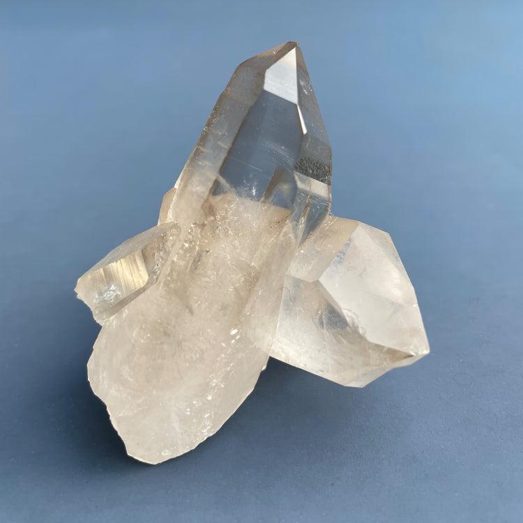Lemurian Seed Starbrary Smoky Quartz Cluster with Rainbow #2