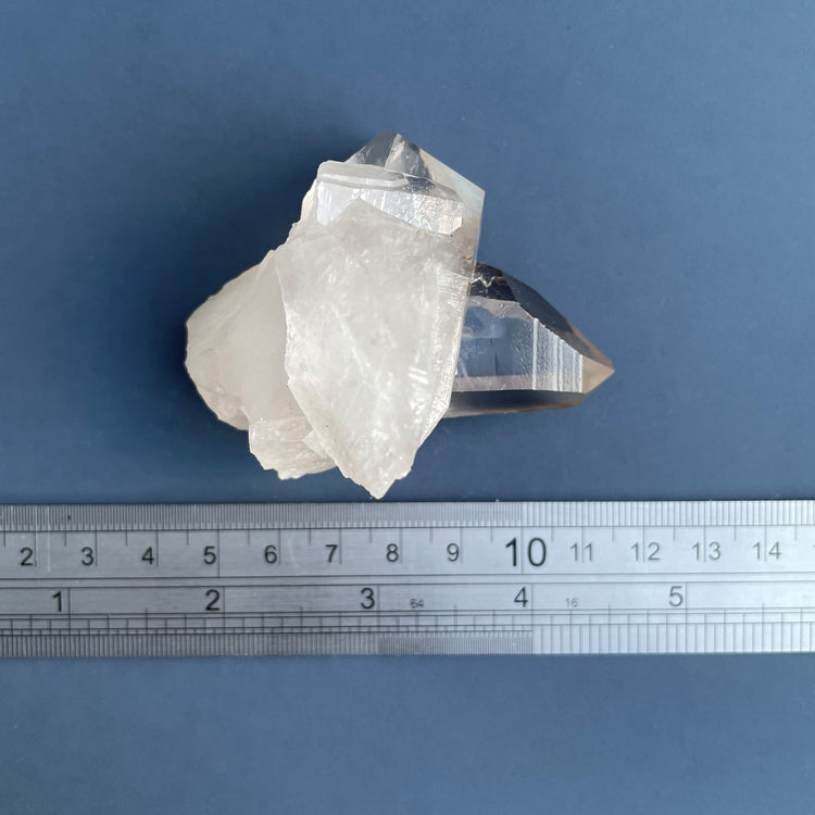 Lemurian Seed Starbrary Smoky Quartz Cluster with Rainbow #2
