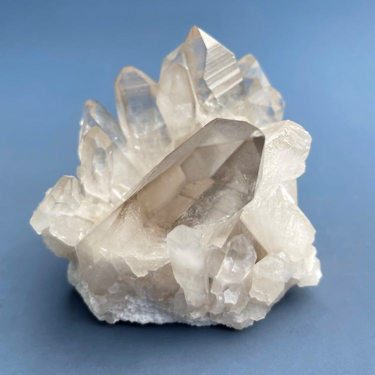 Lemurian Seed Starbrary Smoky Quartz Cluster #3