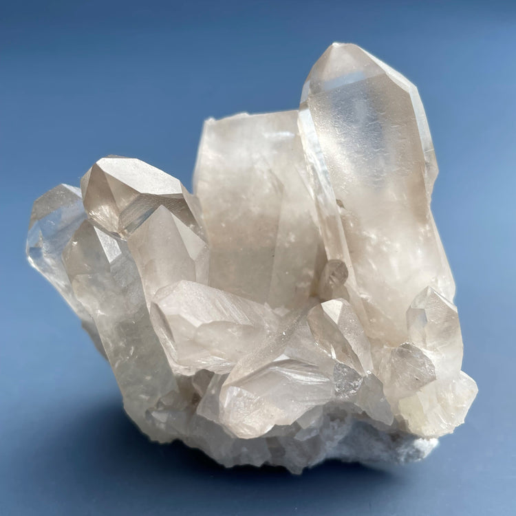 Lemurian Seed Starbrary Smoky Quartz Cluster #3
