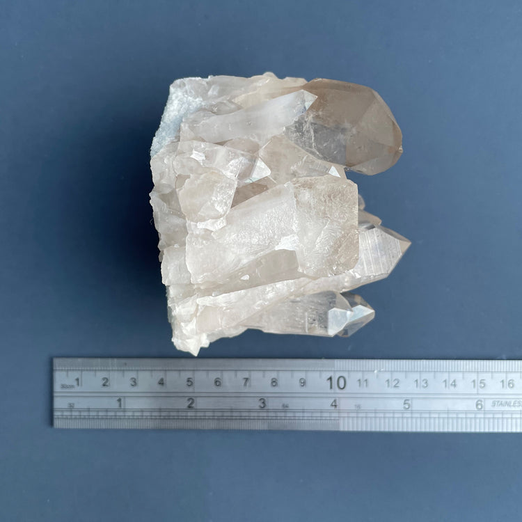 Lemurian Seed Starbrary Smoky Quartz Cluster #3