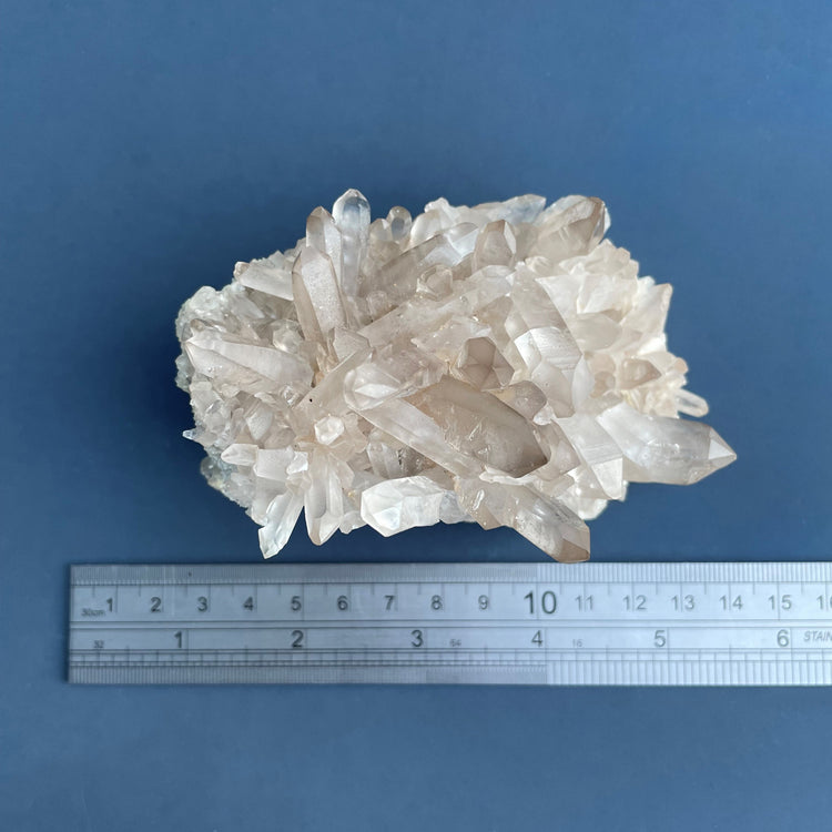 Lemurian Seed Smoky Quartz Cluster #4