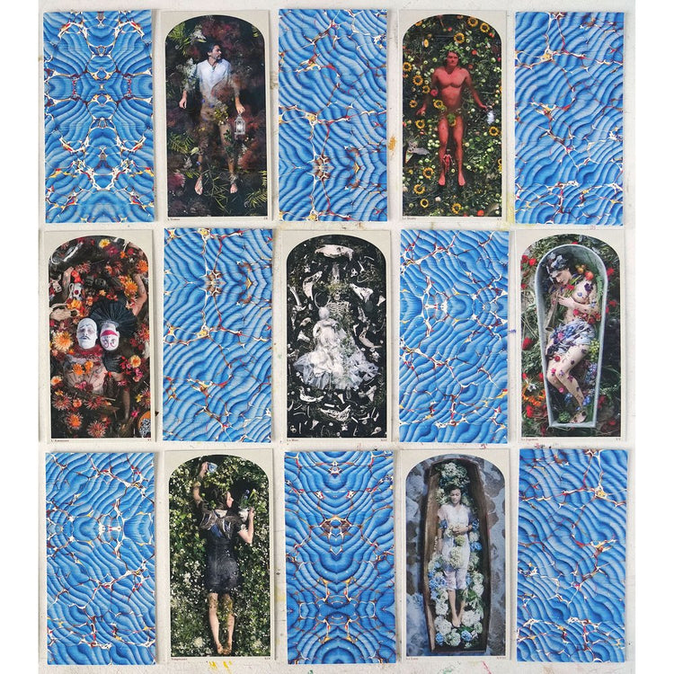 Tarot of the Drowning World Deck & Guidebook