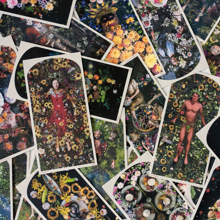 Tarot of the Drowning World Deck & Guidebook
