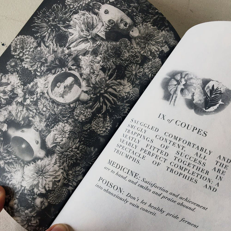 Tarot of the Drowning World Deck & Guidebook