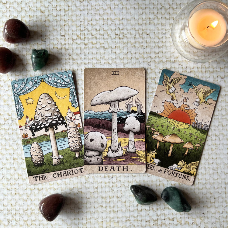 The Mushroom Hunter’s Tarot