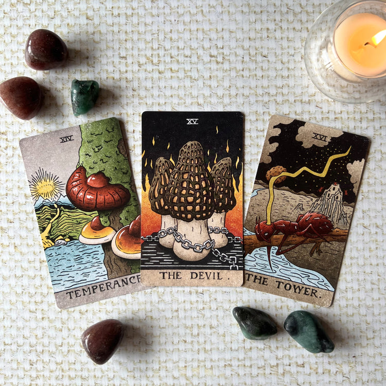 The Mushroom Hunter’s Tarot