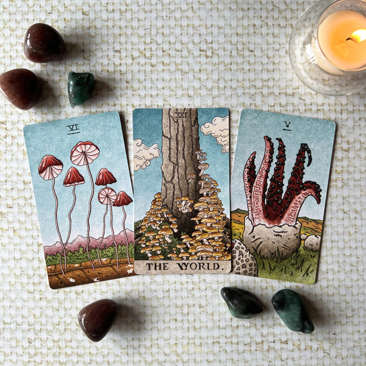 The Mushroom Hunter’s Tarot