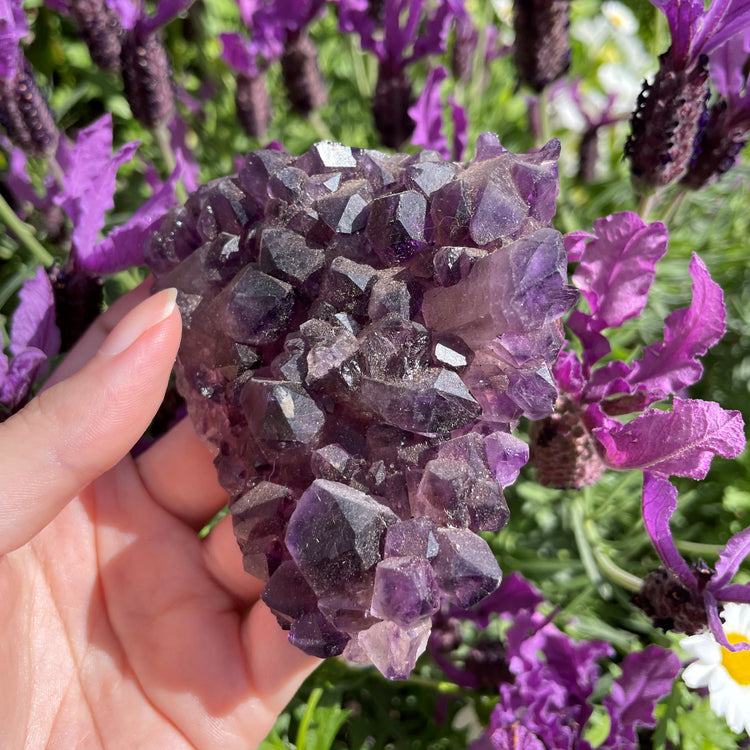 Raw Amethyst Cluster #1