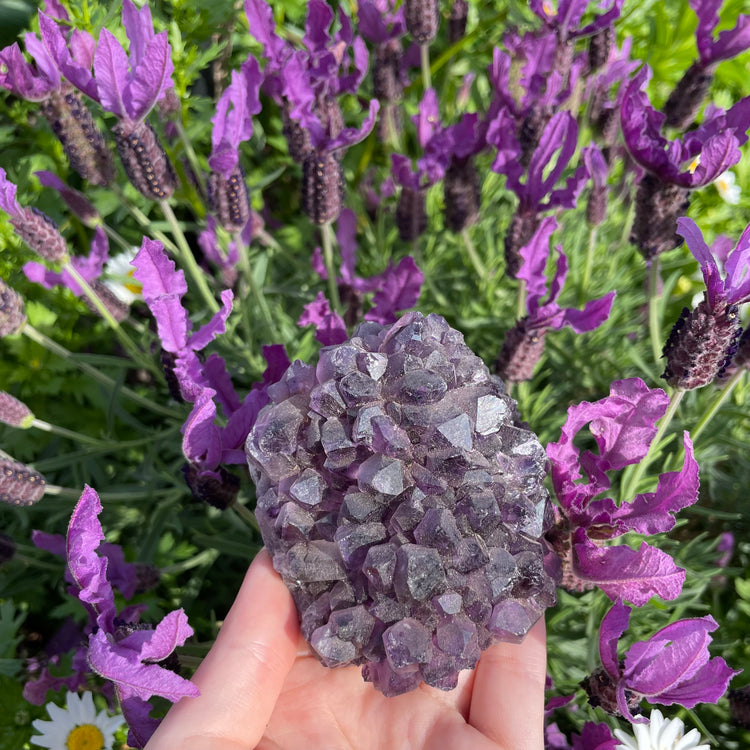 Raw Amethyst Cluster #2