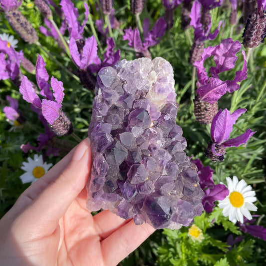 Raw Amethyst Cluster #3