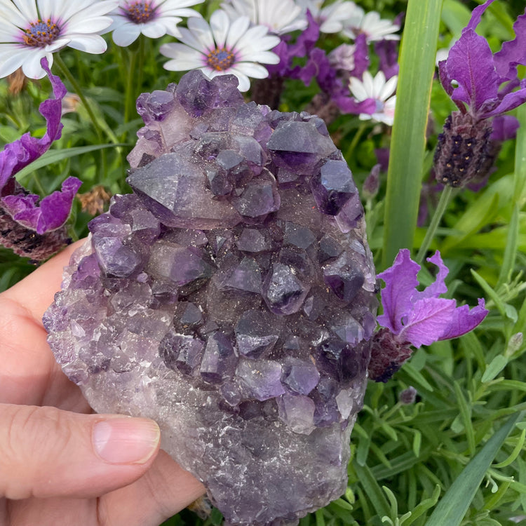 Raw Amethyst Cluster #4