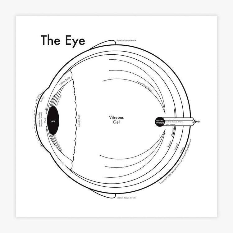The Eye Letterpress Print