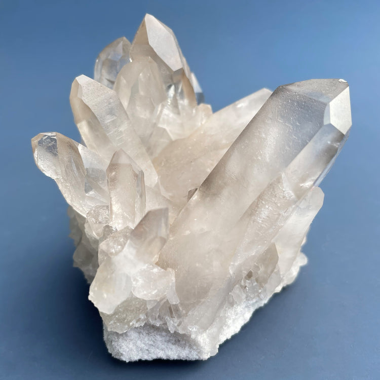 Lemurian Seed Starbrary Smoky Quartz Cluster #3