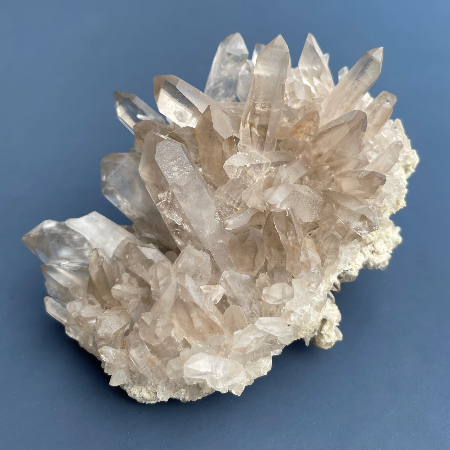 Lemurian
