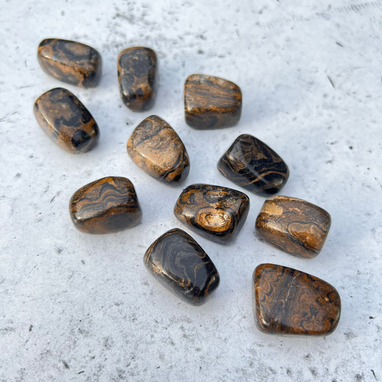 Stromatolite Tumbled Stones