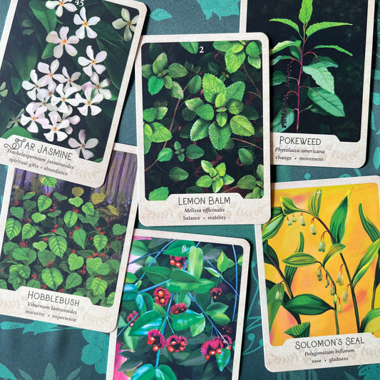 The Southern Botanic Oracle & Poisons Set