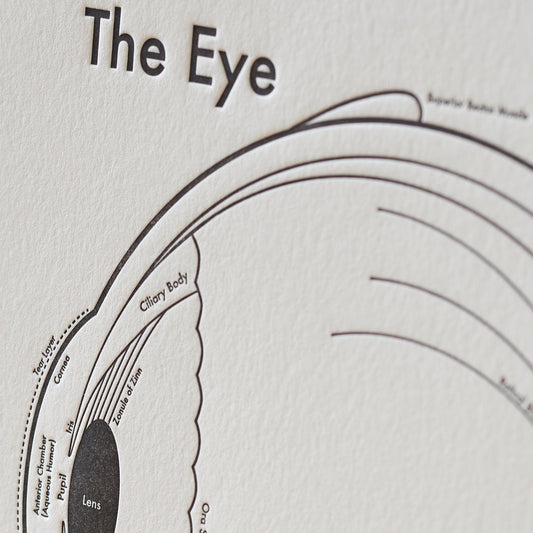 The Eye Letterpress Print