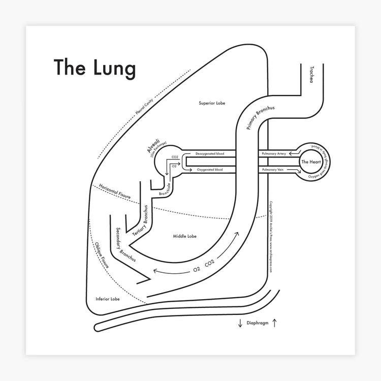The Lung Letterpress Print