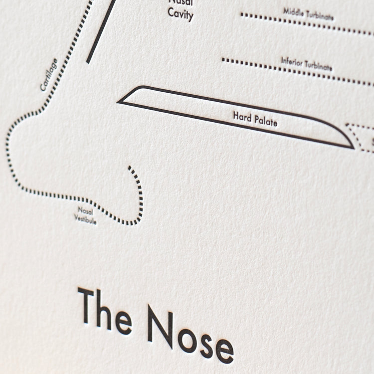 The Nose Letterpress Print