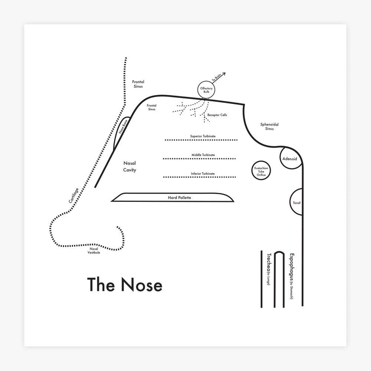 The Nose Letterpress Print